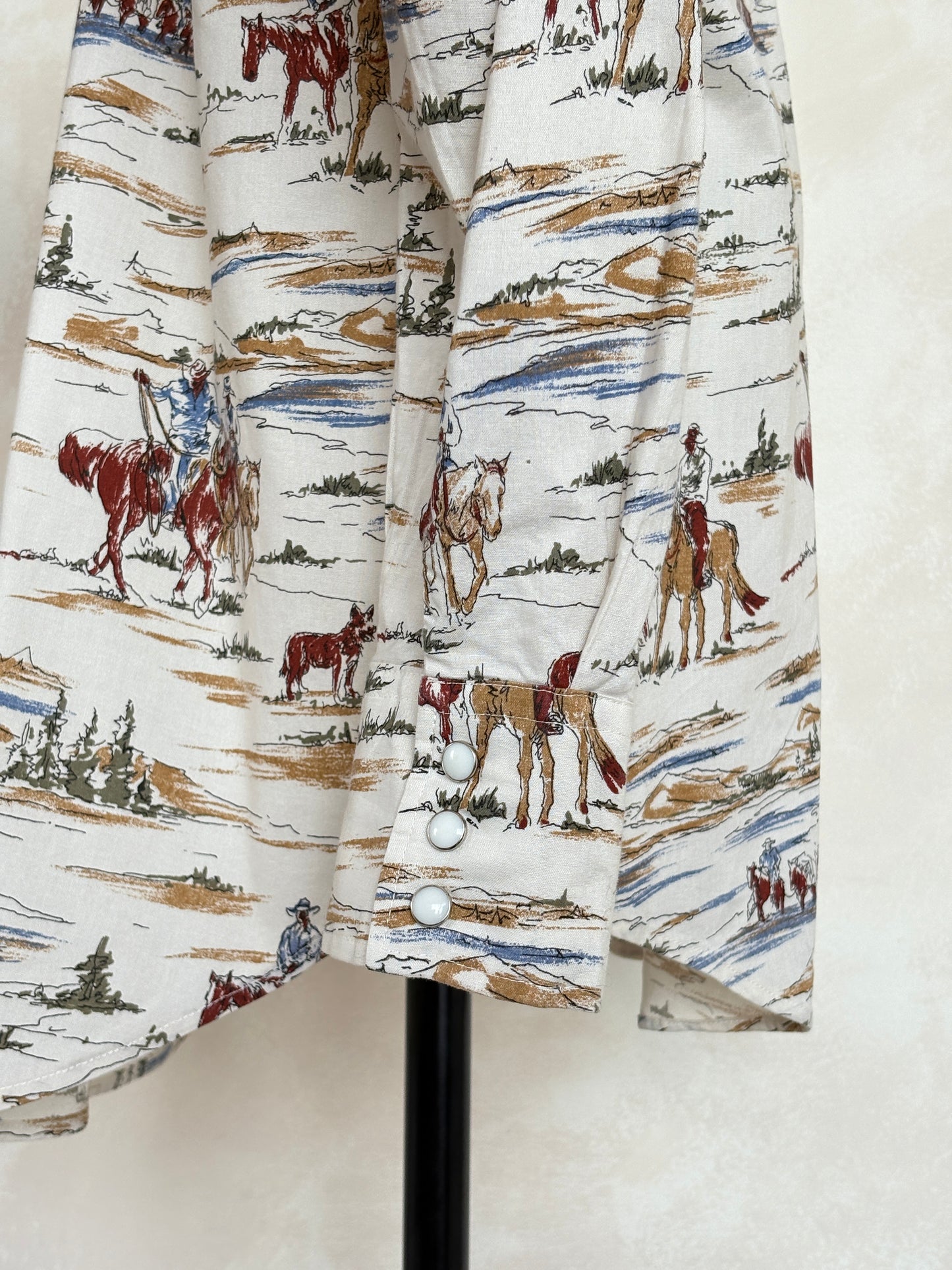 Size M. Authentic Vintage 80’s Western scenic print Shirt.