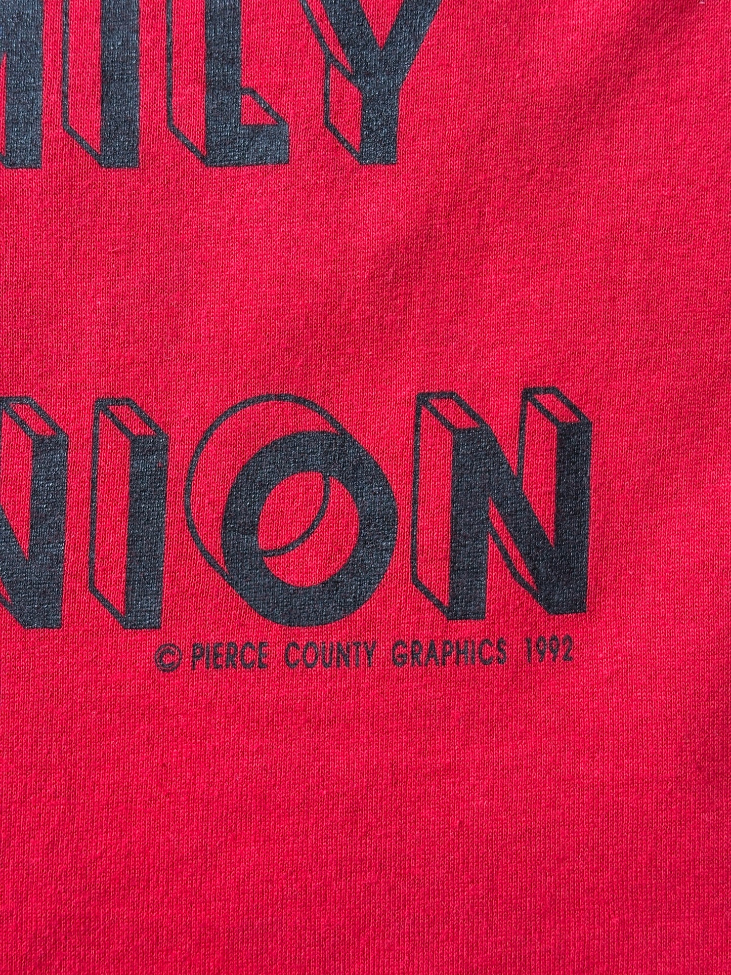 Vintage 1992 Anderson Family Reunion tee – classic 90s reunion shirt with bold lettering. Large