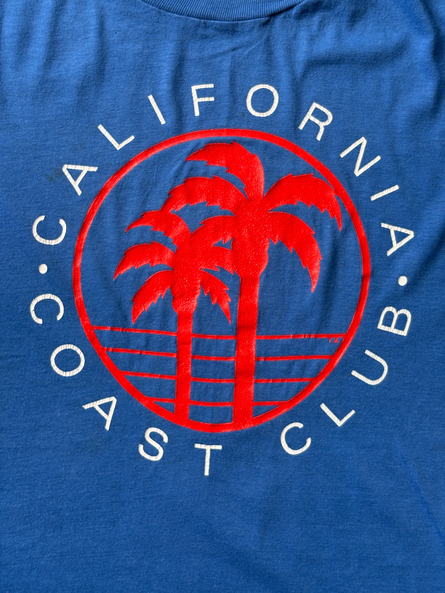 Vintage 80s California Coast Club tee – bold SoCal vibes with retro palm tree print. Large