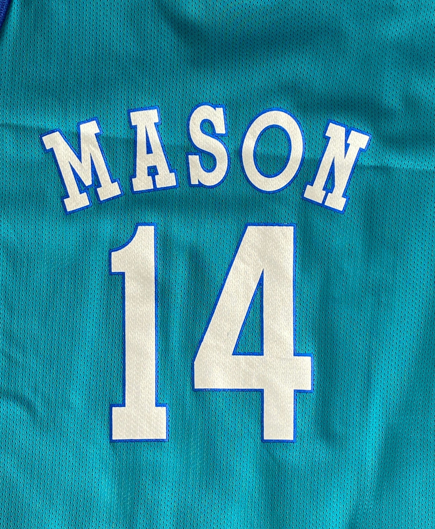 Youth 18-20. Vintage 90s NBA Champion Mason #14 Jersey Charlotte Hornets Made In USA
