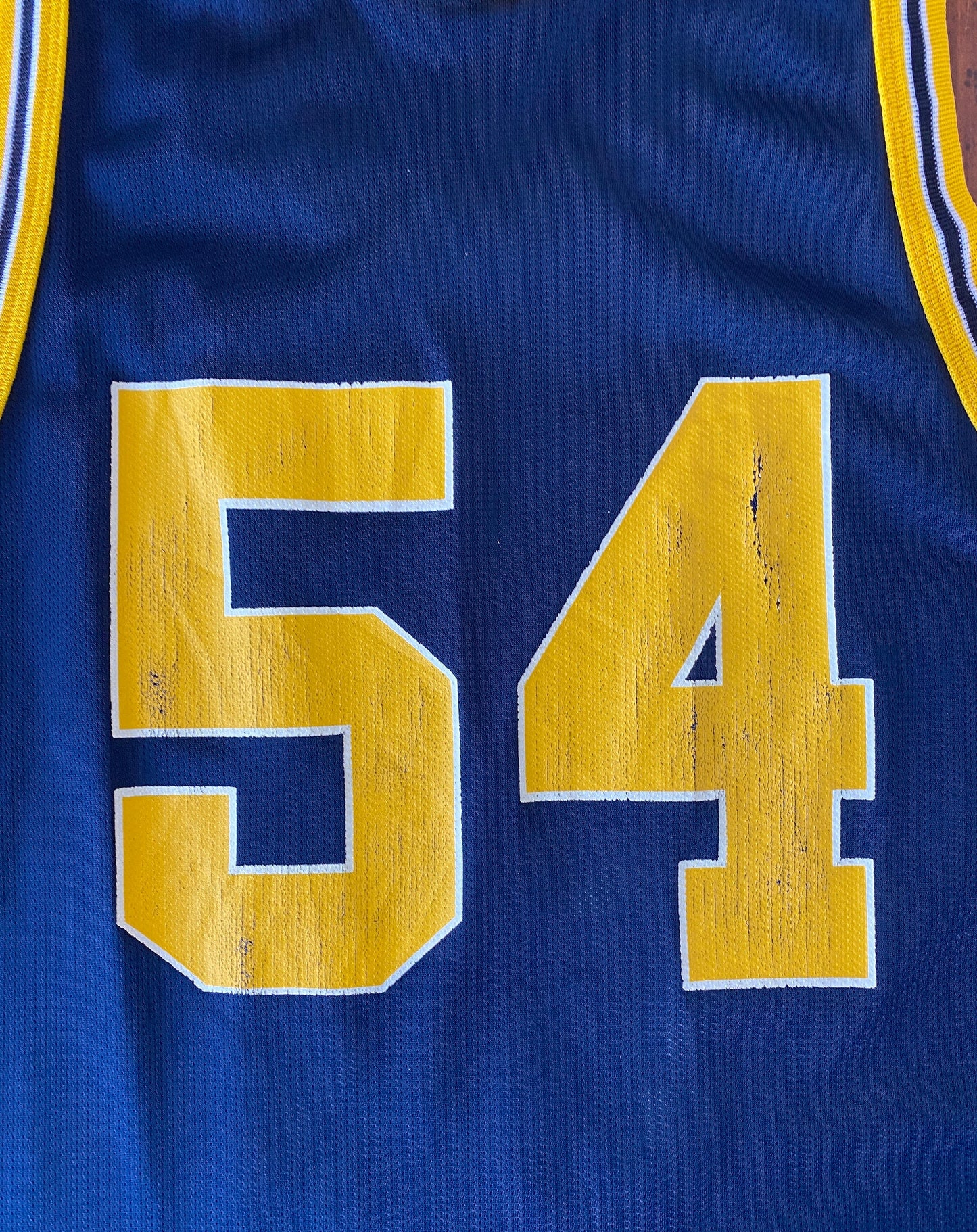 Authentic 90s Vintage NBA Jersey - #54 Michigan Wolverines - Size 40, Made in USA by Champion