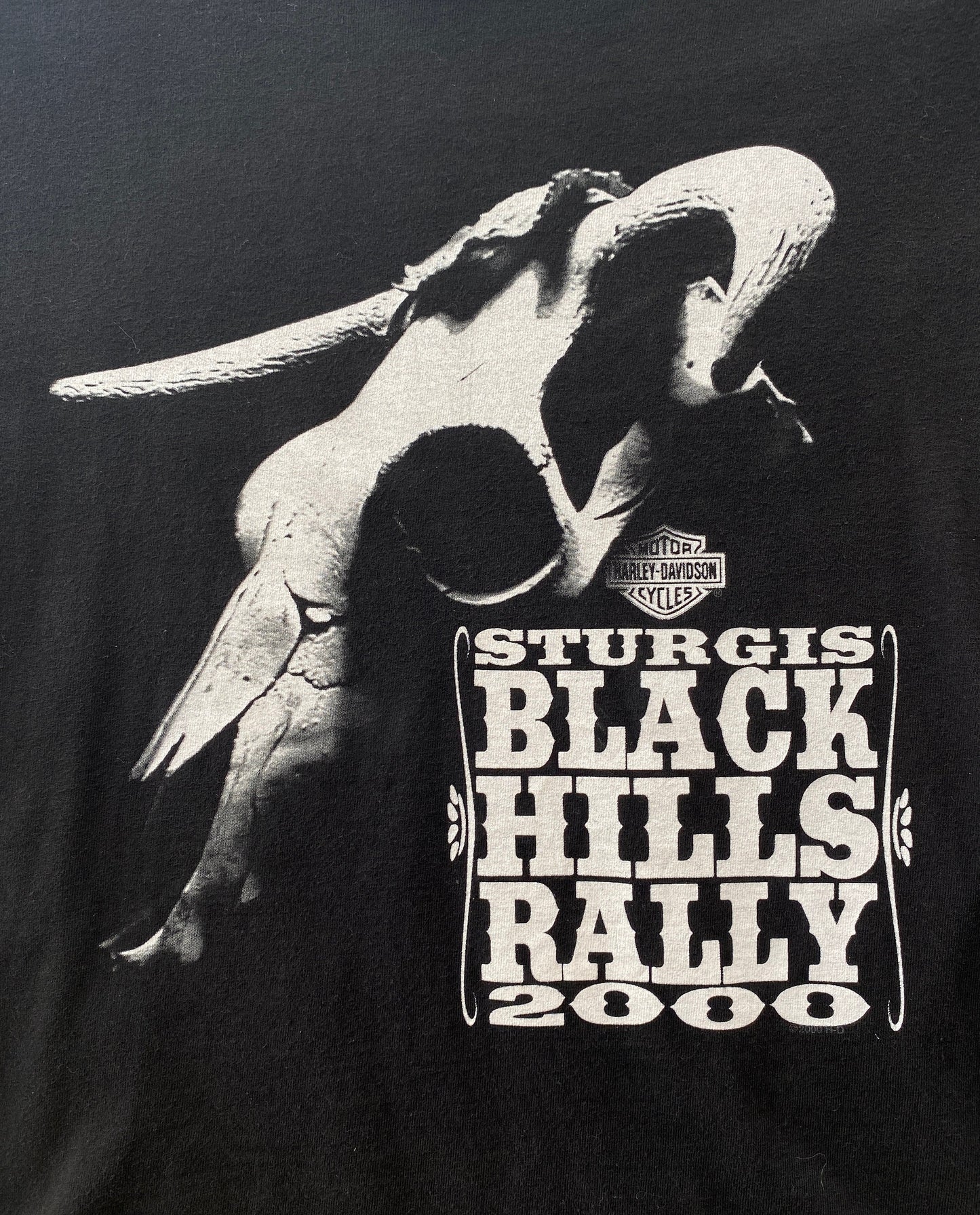 Small. Harley Davidson Sturgis 2000 vintage t shirt Made In USA