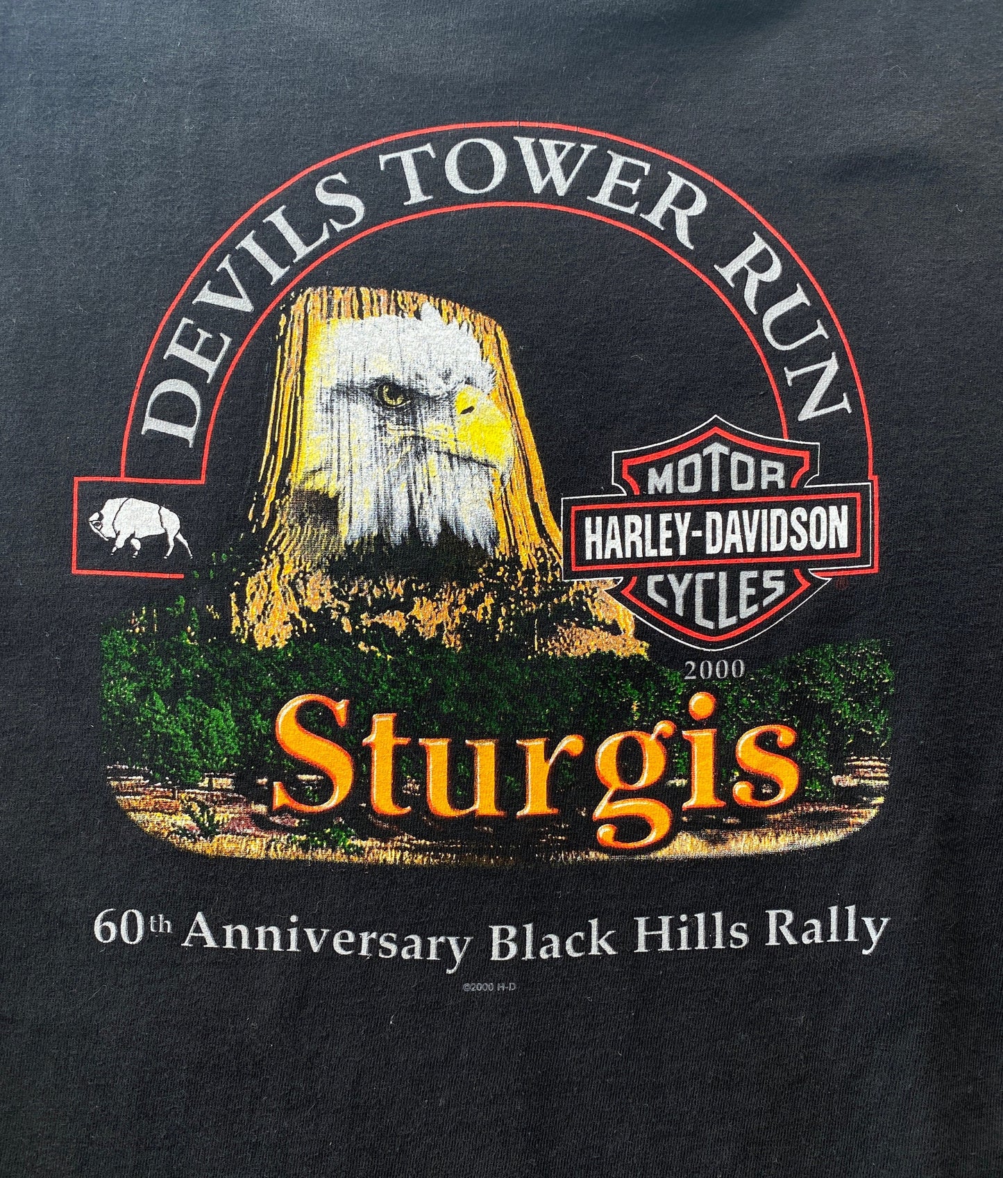 Small. Harley Davidson Sturgis 2000 vintage t shirt Made In USA