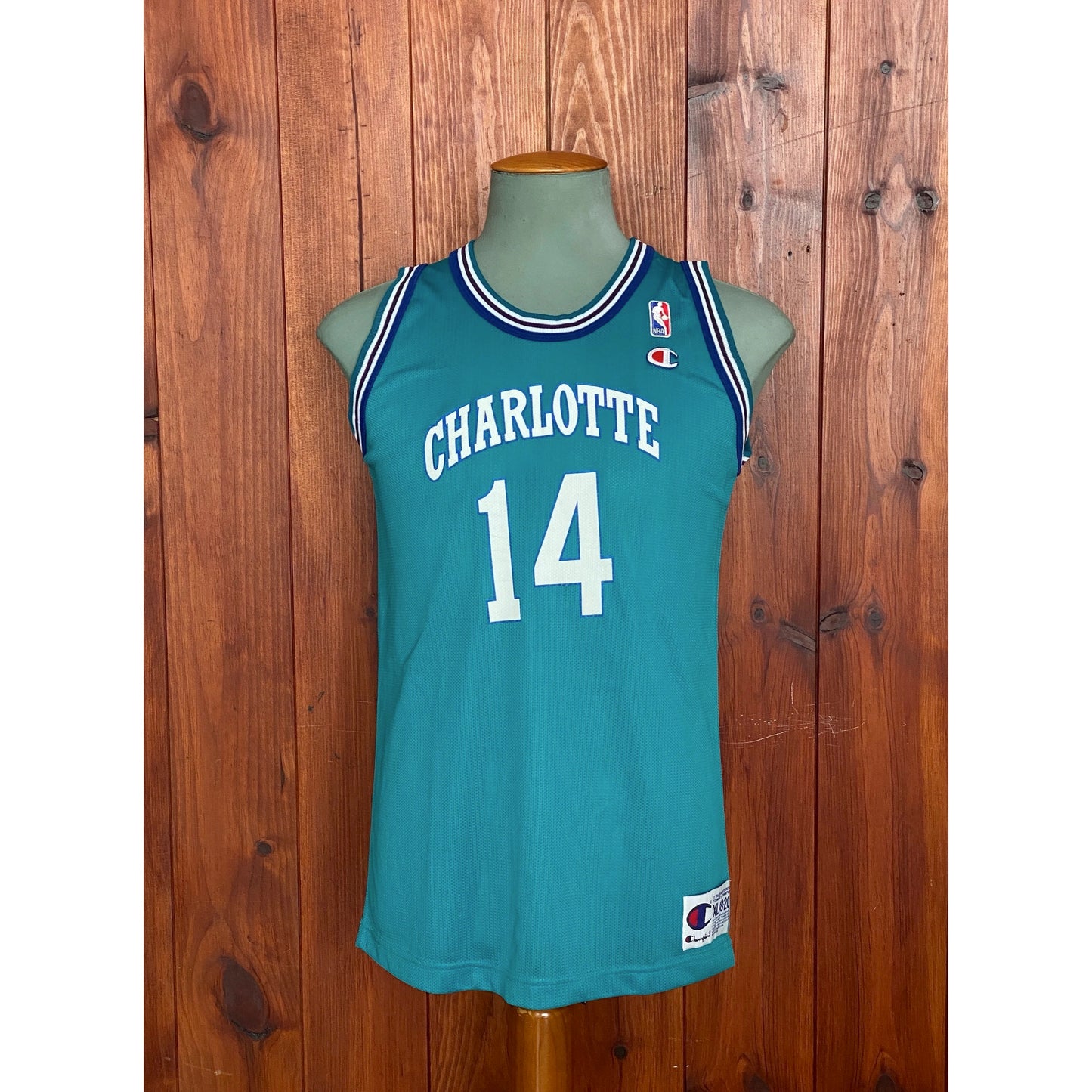 Youth 18-20. Vintage 90s NBA Champion Mason #14 Jersey Charlotte Hornets Made In USA