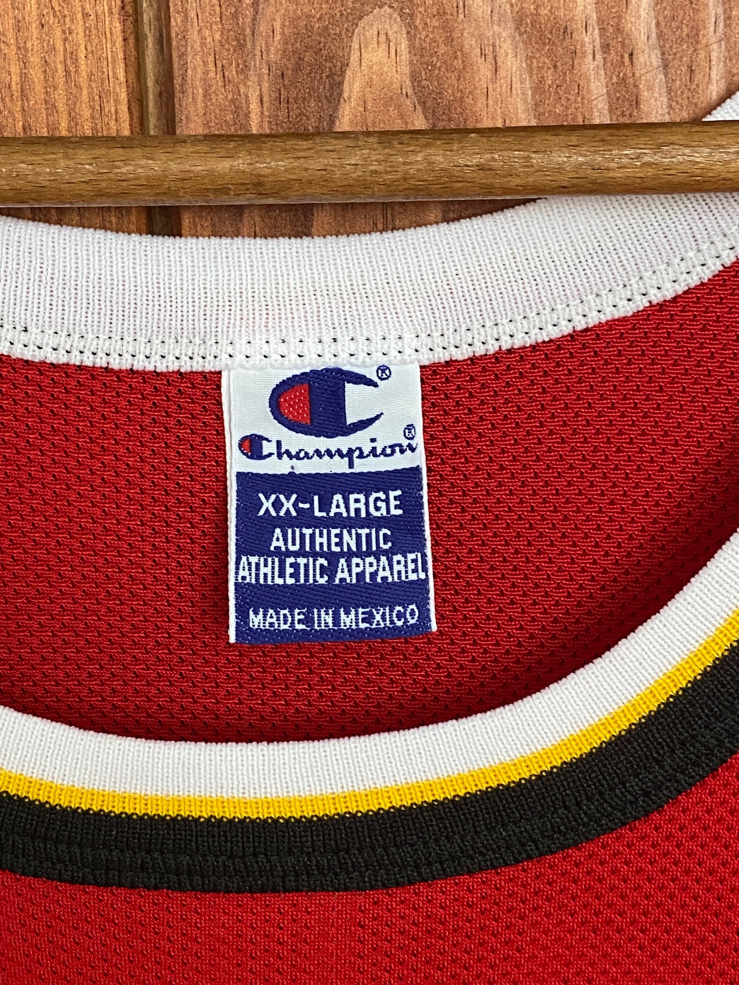 Vintage 90s Hawks Terry #31 NBA Jersey - Size 52 | Made by Champion
