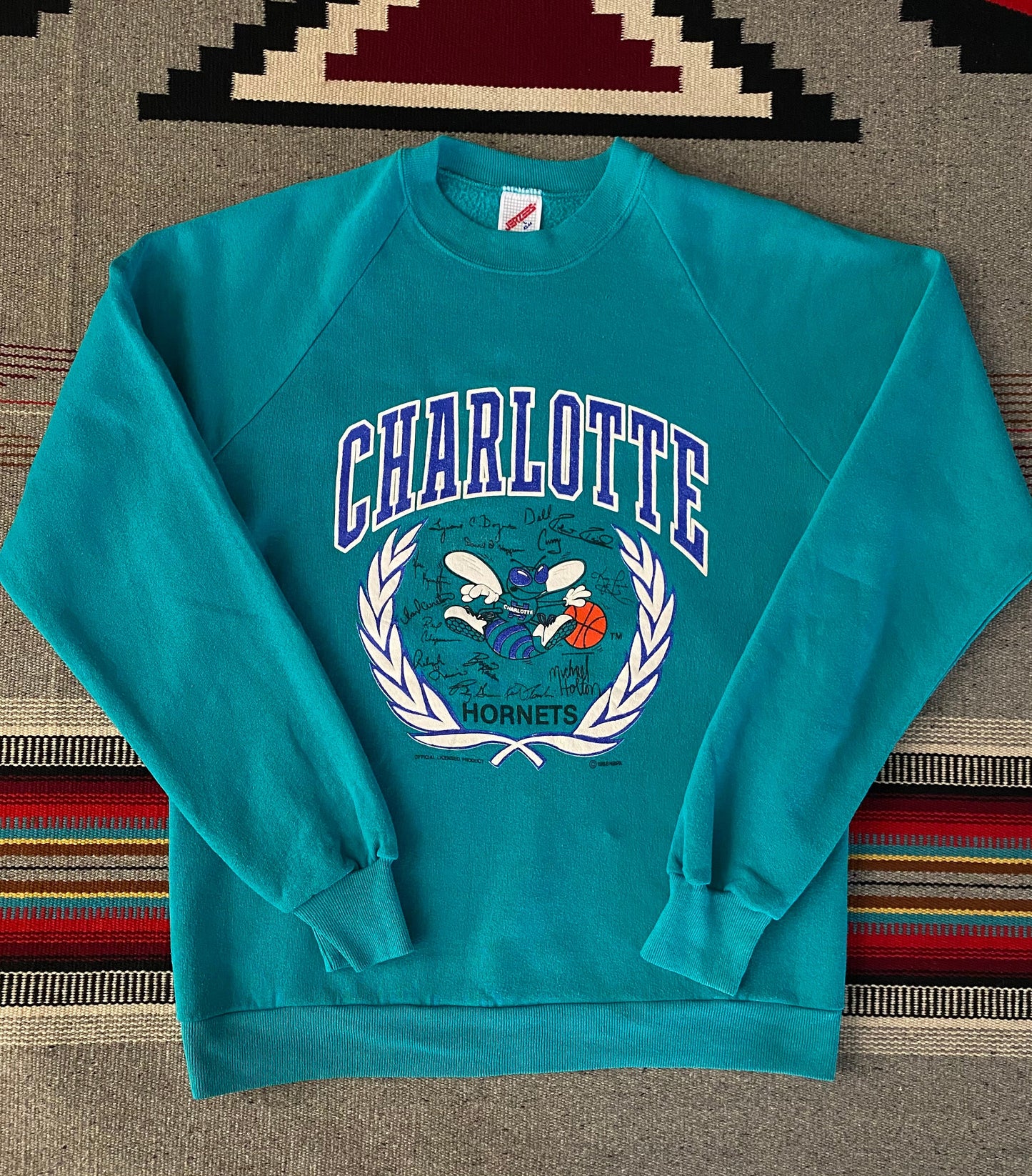 Vintage 80s Charlotte NBA Sweatshirt - Size L | Made in USA by Jerzees