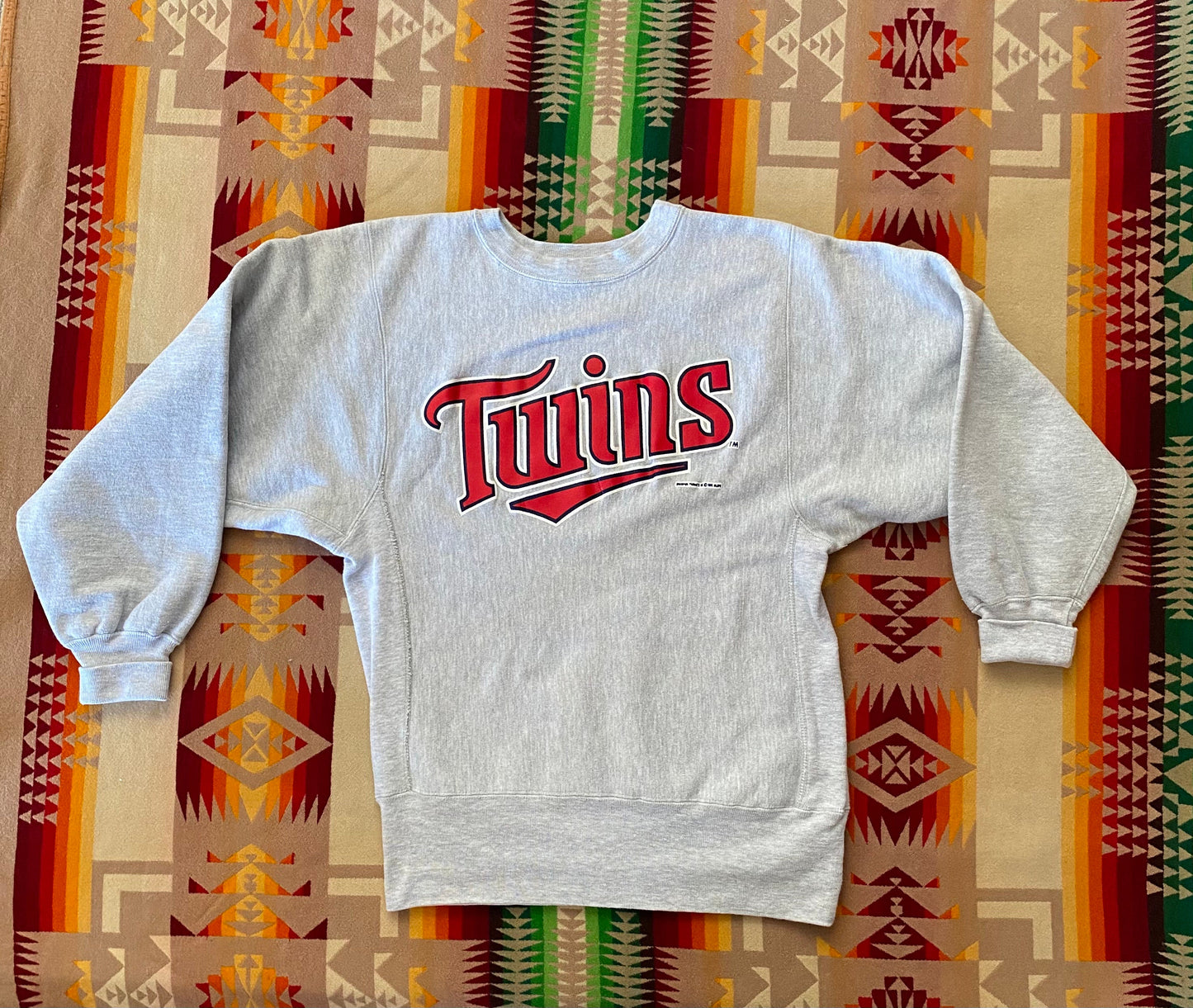 Vintage 90s Twins Reverse Weave Champion Sweatshirt - Size M | Made in USA