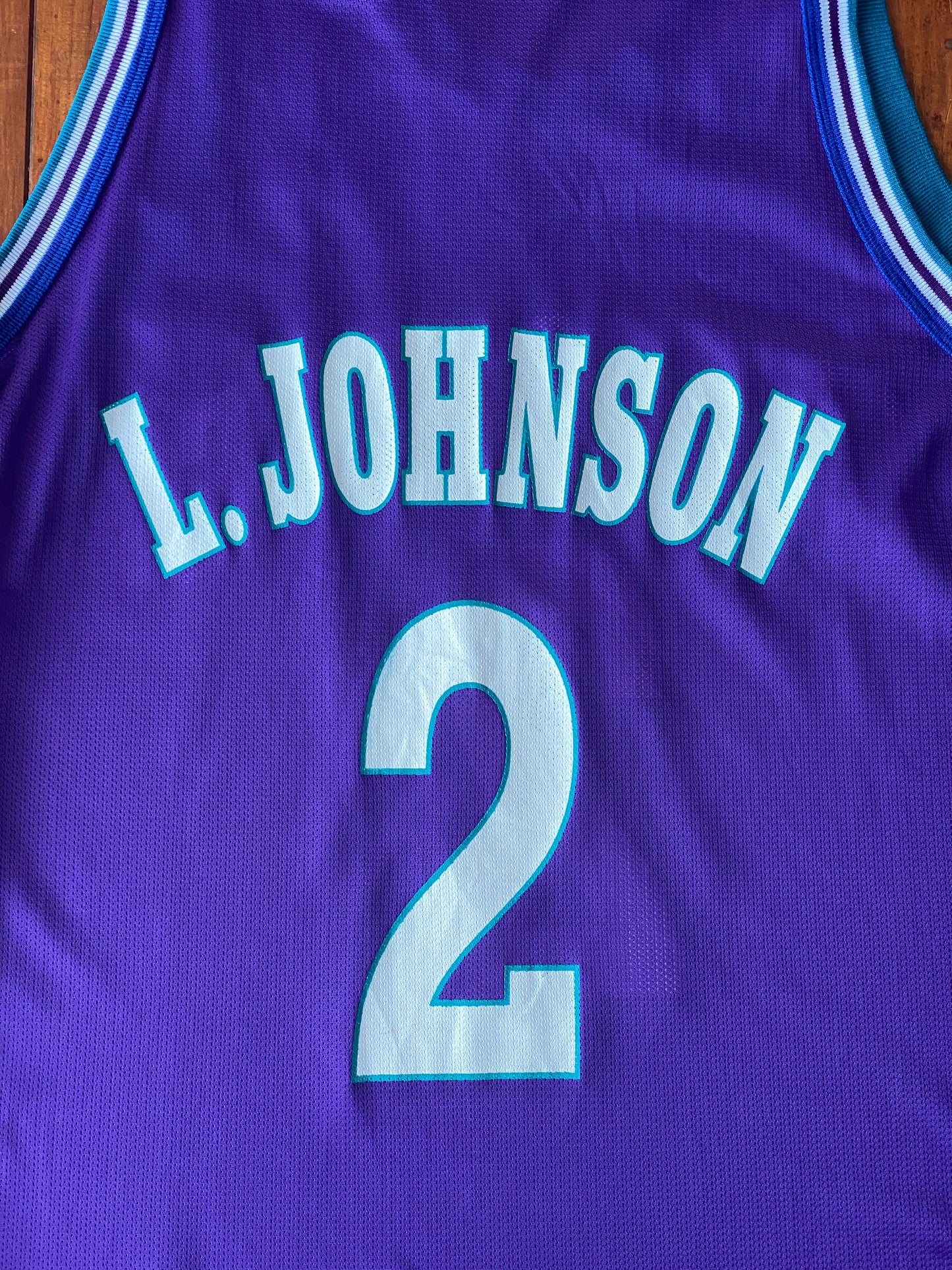 Authentic Size 44 Larry Johnson #2 Charlotte Hornets 90s NBA Jersey | Made in USA by Champion